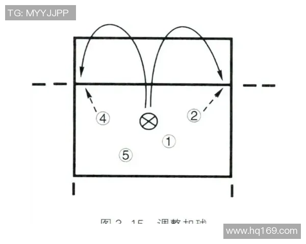 重庆排球队的整体压制打法深度分析与战术解读